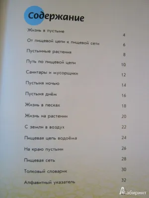 Миска «Ящерица в пустыне» в интернет-магазине Ярмарка Мастеров по цене 1900  ₽ – OQ8T0RU | Пиалы, Санкт-Петербург - доставка по России