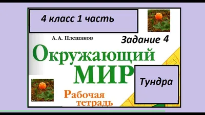 Цепи питания и круговорот веществ в экосистеме