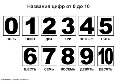 Книга Тренажер. Учимся писать цифры: для детей 6 лет - купить книги по  обучению и развитию детей в интернет-магазинах, цены на Мегамаркет | 6643в