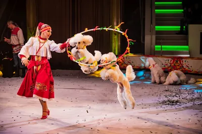 Красивые фигуры, украшавшие вход в Омский цирк, выкинули в мусор | Общество  | Омск-информ