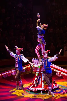 Все любят цирк!