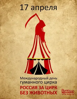 Отзывы о «Московский цирк Кудзинов» на Новокосино, Московская область,  Реутов, Носовихинское шоссе, 45 — Яндекс Карты