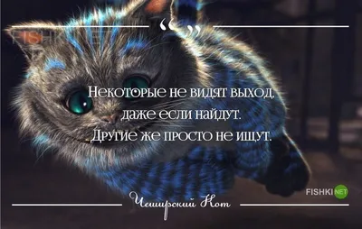 Цитаты чеширского кота 