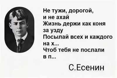 Есенин | Пикабу