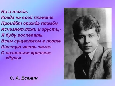 Есенин С.А. Стихи