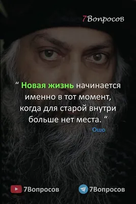 Постеры и картины ”ВСЕ К ЛУЧШЕМУ - ОШО ” купить в Санкт-Петербурге по цене  260 ₽ – 2350 ₽, плакат ”ВСЕ К ЛУЧШЕМУ - ОШО ” на заказ с быстрой доставкой  по всей России | «28КАРТИН»