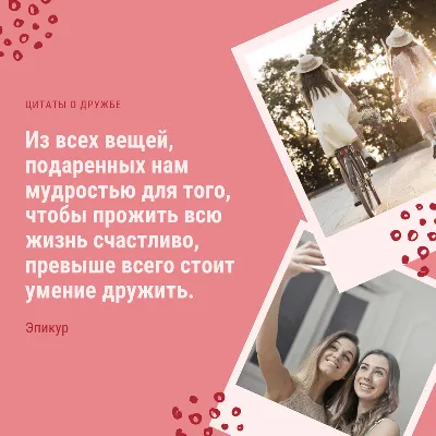 Дружба — это одна душа, живущая в двух телах. - Аристотель #дружба #душа |  Литературные цитаты, Вдохновляющие цитаты, Мысли