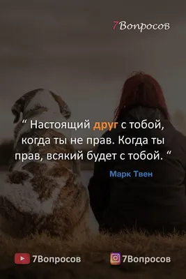 О дружбе красивыми словами: 20 цитат про дружбу, на которые стоит обратить  внимание - 7Дней.ру