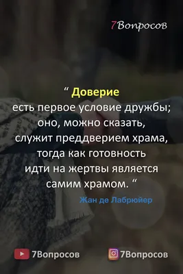 О дружбе красивыми словами: 20 цитат про дружбу, на которые стоит обратить  внимание - 7Дней.ру