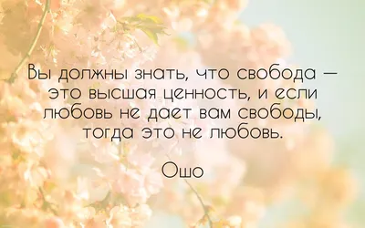 10 мудрых цитат OSHO о любви, свободе и отношениях... | Марина Архипова |  Дзен