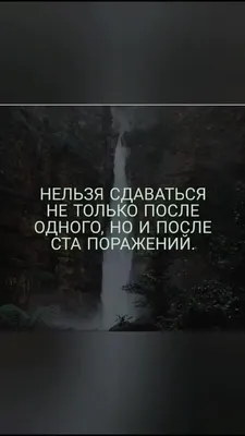 50 мотивирующих и вдохновляющих цитат на каждый день - Чемпионат