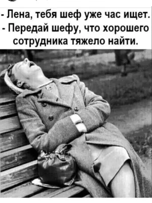 😂 ЮМОР 😂 🔞 ⚜️ЦИТАТЫ⚜️ в Instagram: «👉↗️Подпишись⏩@citaty_humor ЮМОР __  ЦИТАТЫ СМЕХ ВЕСЕЛЬЕ 😂😂😂😂😂😂😂😂😂 #анекдот #анекдоты #шутка #… |  Смешно, Шутки, Смех