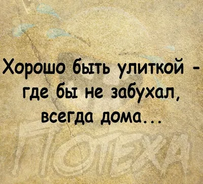 цитаты#настроение#хаха#суббота #я#юмор | Instagram