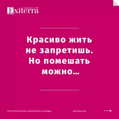 Цитаты из книги «Большое собрание произведений. XXI век» Михаила Жванецкого  – Литрес