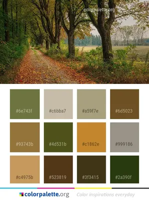 Metallic Bronze Color Palette ideas | 