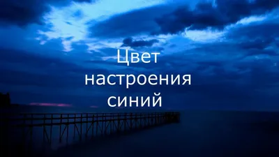 ВечерняяТочкаLive. Цвет настроения синий. Instagram-эфир