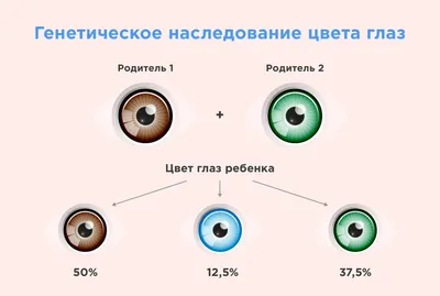 Самый редкий цвет глаз и что о нем известно