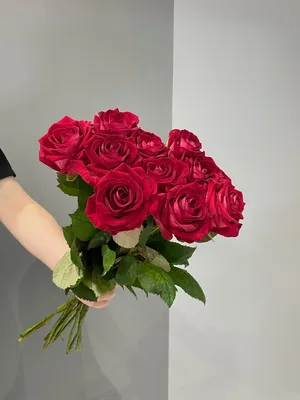 Нежные розы — Цветы СПб