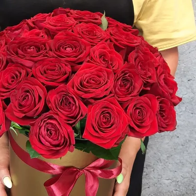 Розы цветы гиперреалистично огромный …» — создано в Шедевруме