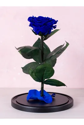 Светодиодные цветы, Розы в колбе Купить в  | Цены,  Характеристики.