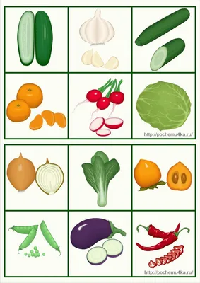 Цветные овощей картинки