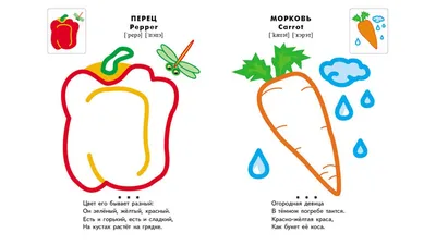 Пегас СКА5 Цветные контуры Овощи и фрукты (ID#337189009), цена:  ₴,  купить на 