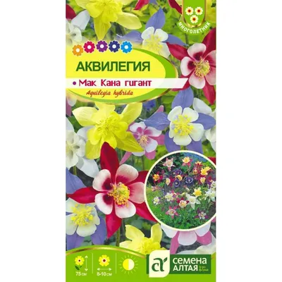 Аквилегия низкорослая Альпийская, 50 сем. купить оптом или розницу.  Выгодные цены