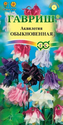 Аквилегия обыкновенная - «Аквилегия -нежный неприхотливый цветок. Опыт  выращивания.» | отзывы