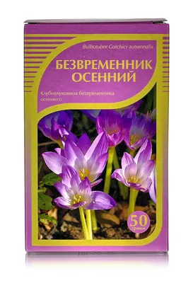 Безвременник осенний (клубнелуковица) 50гр. купить в Москве в одном из  наших магазинов или с бесплатной доставкой по Москве в интернет-магазине по  низкой цене. Рецепты, применение, отзывы.