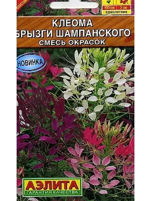 Клеома, "брызги шампанского", семена, 30 шт купить в Ростове-на-Дону |  Товары для дома и дачи | Авито