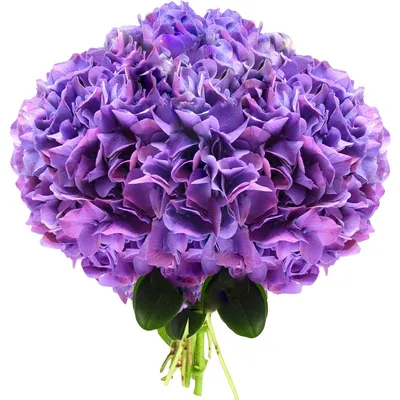 Цветок искусственный Гортензия 45 см - купить в Пятигорске с доставкой в  интерьерном центре Жемчужина