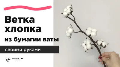 Ветка хлопка. Как сделать цветы хлопка на ветке своими руками.  Мастер-класс. - YouTube