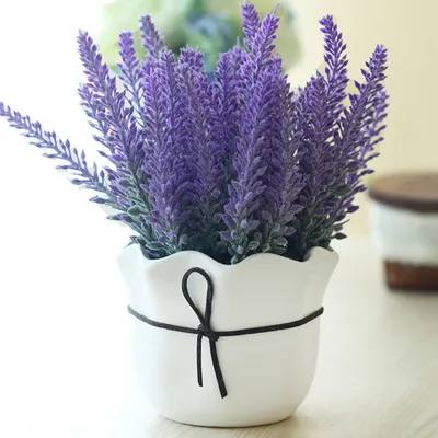 Искусственные цветы (лаванда) Aliexpress Artificial lavender - «Лаванда,  горная... нет, китайская! ... лаванда! Очень красивые веточки, которые  украсят любое фото, любой интерьер, да и просто будут радовать глаз, потому  что как живые)» | отзывы