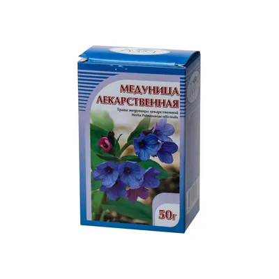 Медуница лекарственная - Pulmonaria officinalis