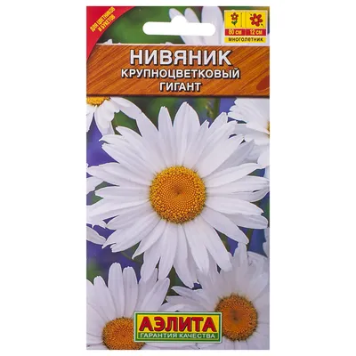 Нивяник обыкновенный (Leucanthemum Vulgare)