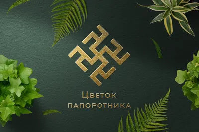 Цветок папортника: оберег и символ славян