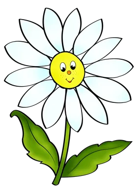 рисунок цветок клипарт черно белый контур эскиз вектор PNG , цветочный  рисунок, рисунок крыла, рисунок губ PNG картинки и пнг рисунок для  бесплатной загрузки