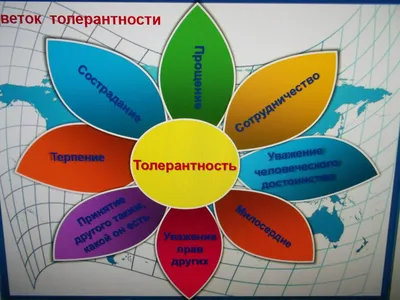 Презентация на тему: "Мы разные, но в этом наше богатство!. Цветок  толерантности.". Скачать бесплатно и без регистрации.