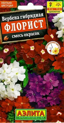 Вербена Флорист, смесь окрасок 0,1г, семена | Купить в интернет магазине  Аэлита