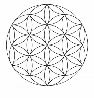 Цветок жизни (геометрия) — Википедия