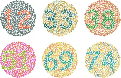Тест на дальтонизм онлайн, проверка на цветовосприятие