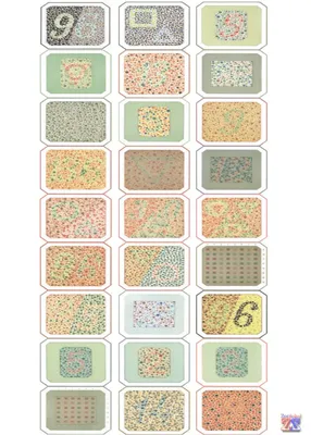 Книга. Таблицы Рабкина Е.Б. Полихроматические таблицы для исследования  цветоощущения (ID#1098498694), цена: 551 ₴, купить на 