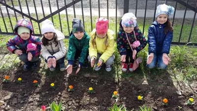 Гуашь 12 цветов для детского сада от ТД Детство