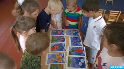 Фотоальбом: Фестиваль цветов Детский сад Удача