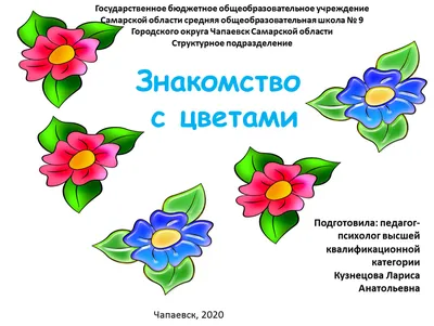 Лексическая тема "Полевые цветы" (развитие речи дошкольника). Рекомендации  учителя-логопеда | Радуга знаний | Дзен