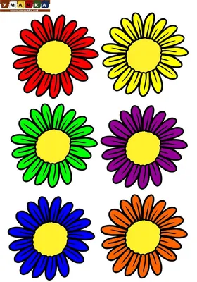 Поэтапное рисование цветов для детей - 55 фото