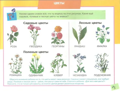 Развивающие карточки для детей учим цвета для малышей настольные обучающие  по методу Домана набор Алоха Кроха 27921603 купить за 339 ₽ в  интернет-магазине Wildberries