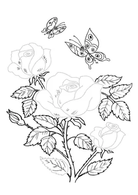 Рисунок цветов для раскрашивания с бабочками - 73 фото