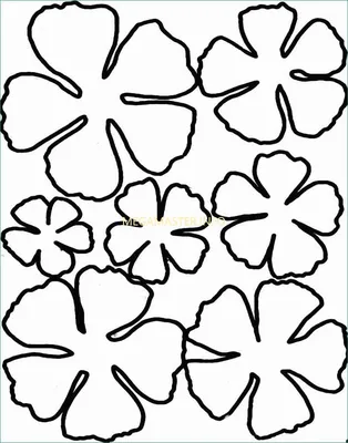 Купить лист для вырезания "Полевые цветы" коллекция "Наедине с природой",  30,5*30,5 см, 190 г/м по низкой цене 25 р. - Scrap Home