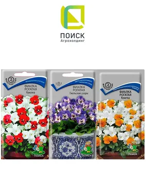 Набор семян цветов 3 упаковки. Многолетние цветы. Фиалка рогатая: Куколка,  Кокетка, Гжельские узоры. | AliExpress